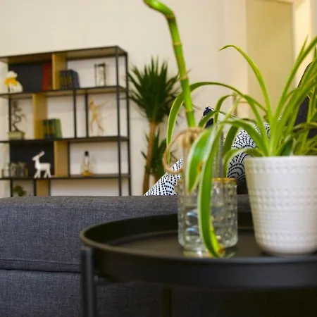 Faubourg St Pierre Apartment Nancy