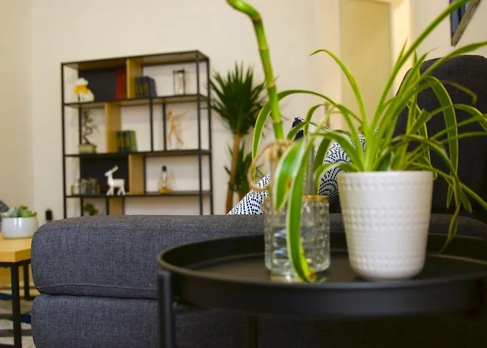 Faubourg St Pierre Apartment Nancy